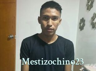 Mestizochino23