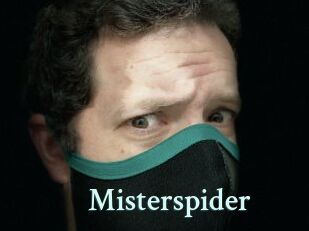 Misterspider