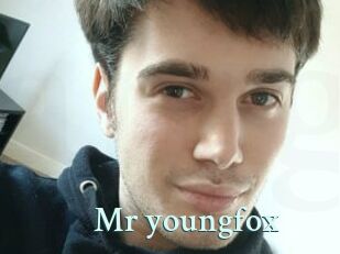 Mr_youngfox