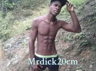 Mrdick20cm