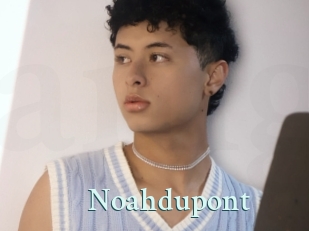 Noahdupont