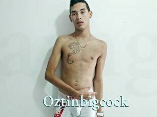 Oztinbigcock