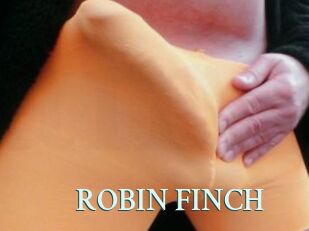 ROBIN_FINCH