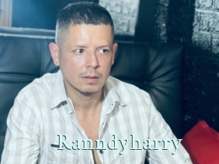 Ranndyharry