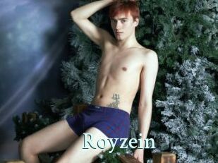 Royzein