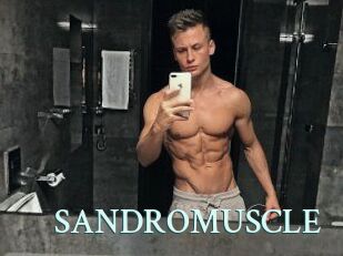 SANDRO_MUSCLE