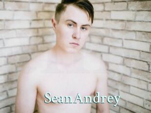 SeanAndrey