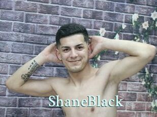 ShaneBlack