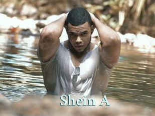 Shein_A