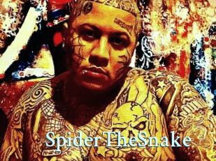 SpiderTheSnake