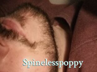 Spinelesspoppy