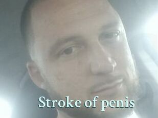 Stroke_of_penis