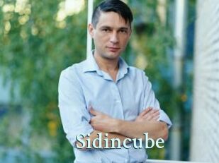 Sid_incube