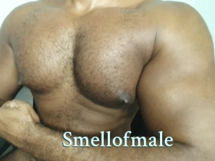 Smellofmale