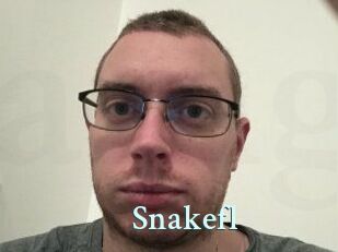 Snakefl