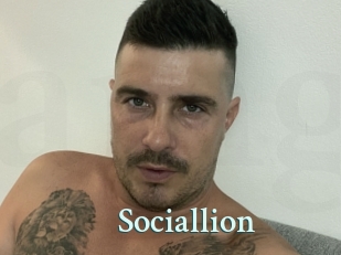 Sociallion