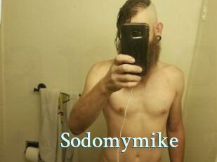 Sodomymike