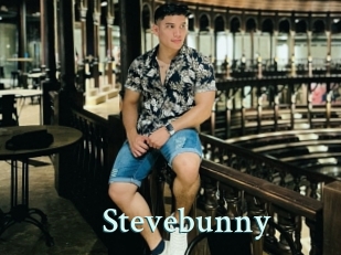 Stevebunny