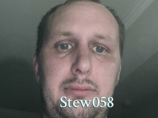 Stew058