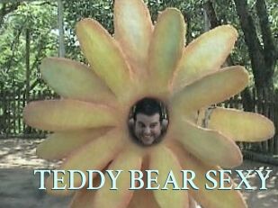 TEDDY_BEAR_SEXY