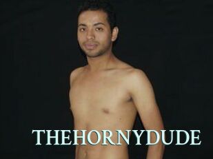 THEHORNYDUDE