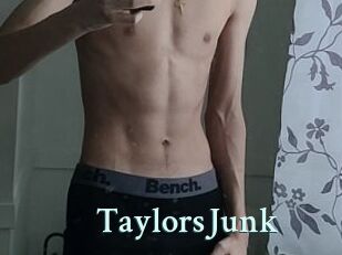 TaylorsJunk