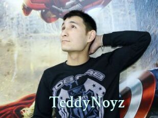 TeddyNoyz