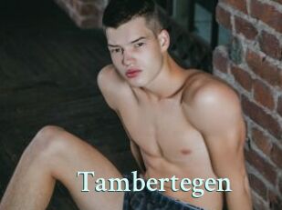 Tambertegen