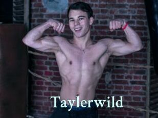 Taylerwild