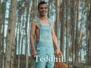 Teddhill