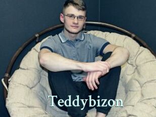 Teddybizon