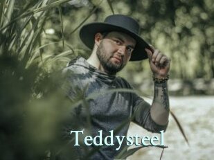 Teddysteel