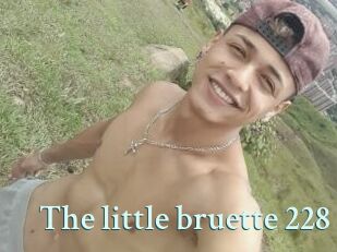 The_little_bruette_228