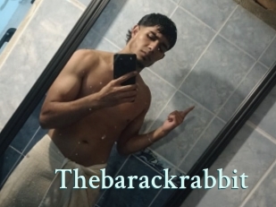 Thebarackrabbit