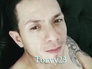 Torvy23