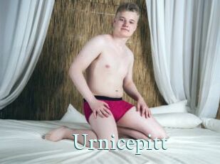 Urnicepitt