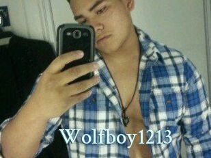 Wolfboy1213