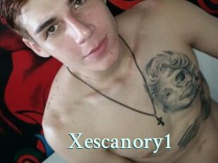 Xescanory1