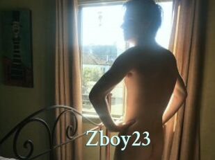 Zboy23