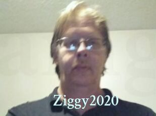 Ziggy2020