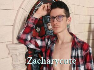 Zacharycute