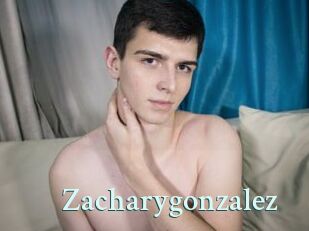 Zacharygonzalez