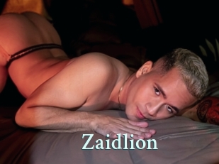 Zaidlion