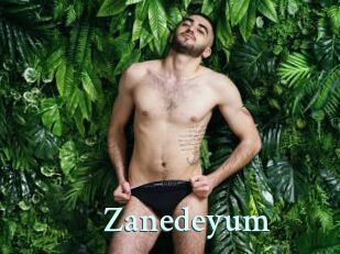 Zanedeyum