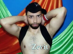 Zevit